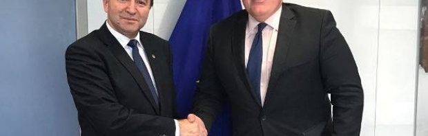 toader timmermans