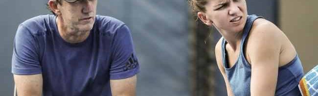 cahill halep