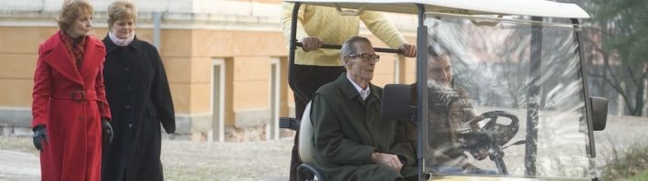 regele mihai