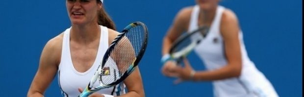 begu niculescu
