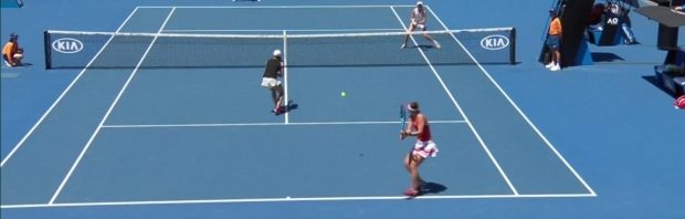 begu niculescu