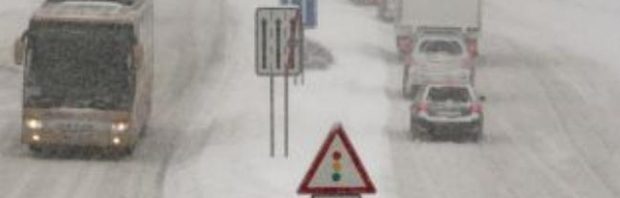 ninsori bulgaria