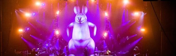 the australian pink floyd