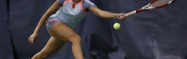 buzarnescu