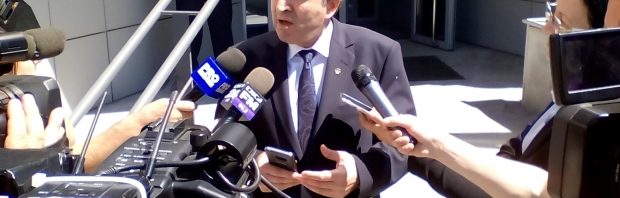 tudorel toader