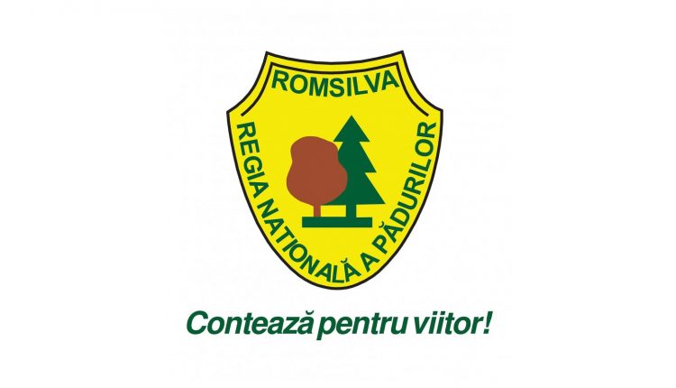 Romsilva