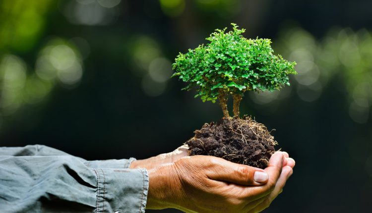 Ziua Mondială a Mediului