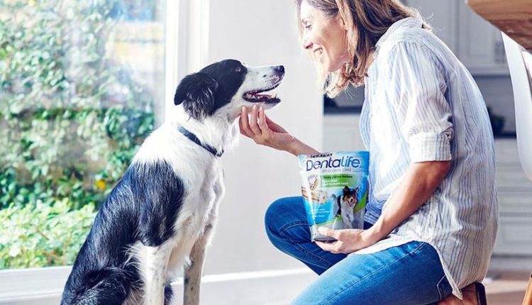 2022-nine-month-sales-highlight